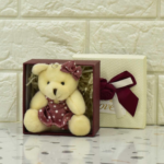 The Giftcart Mini Cute Teddy Soft Toy Gift Box is priced at app