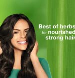 Himalaya Dryness Defense Protein Shampoo with Aloe Vera – 200ml - Image 3