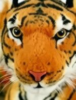 Realistic Tiger Soft Plush Toy for Kids (Big Size, Premium Quality) - Image 3